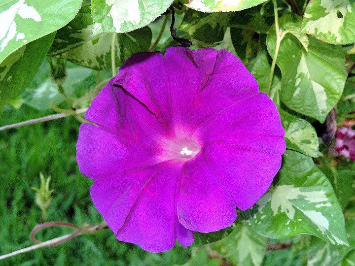 DSCN4149
