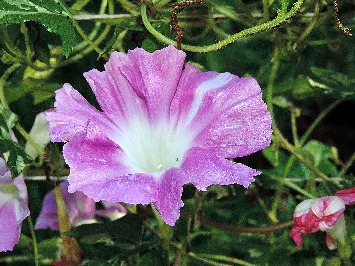 DSCN4157
