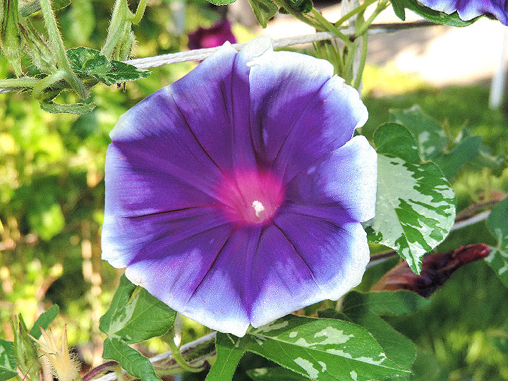 DSCN4159