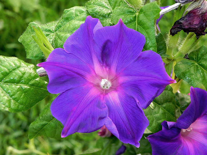 DSCN4252