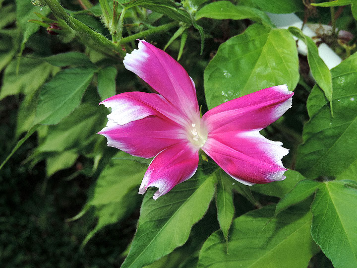 DSCN4258_01