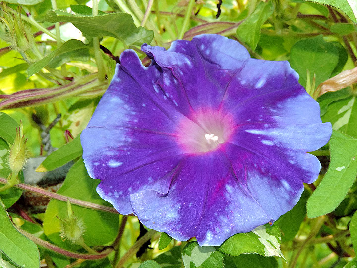DSCN4324