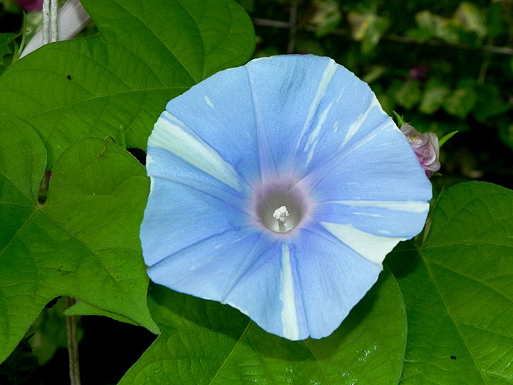 DSCN4372