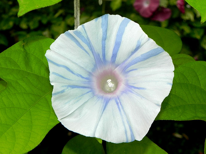 DSCN4373