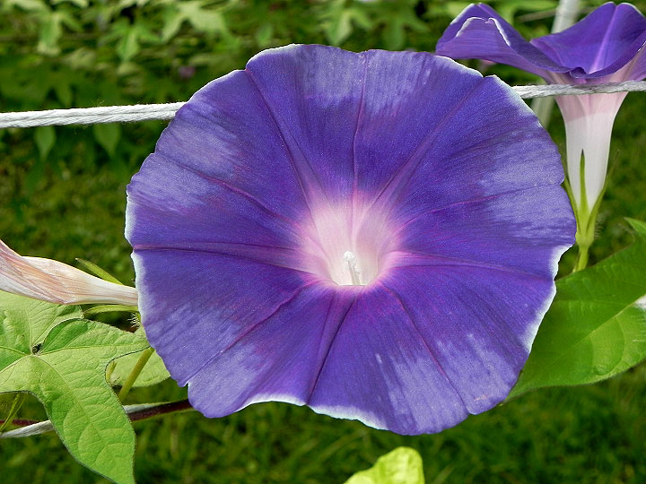 DSCN4392
