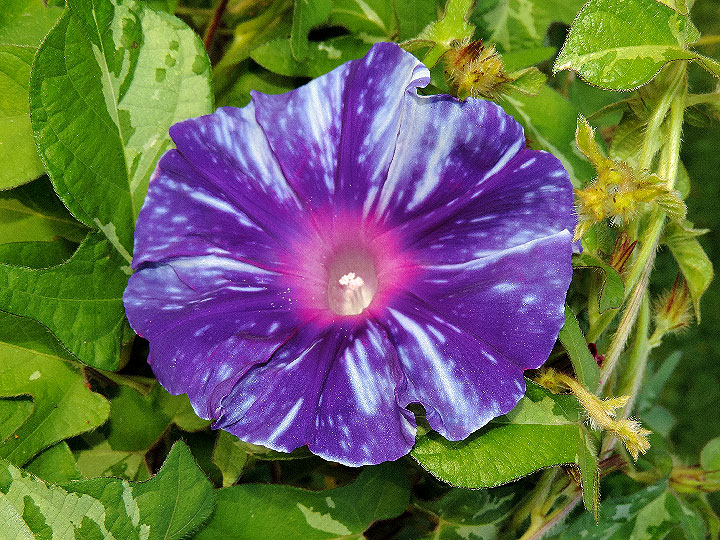 DSCN4417_01