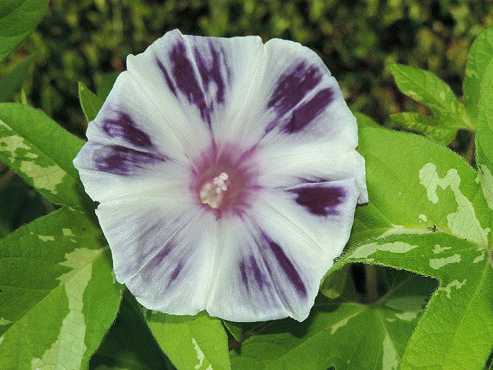 DSCN4460_01