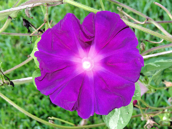 DSCN4464_01