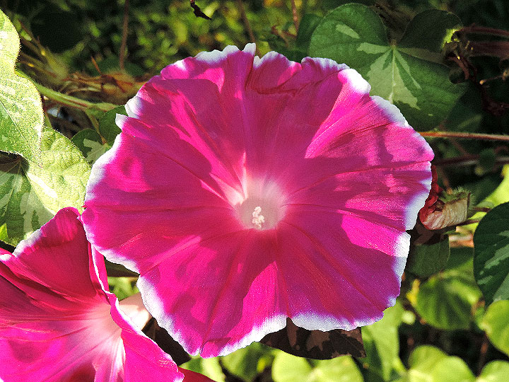 DSCN4478_01