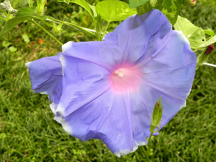 DSCN4605