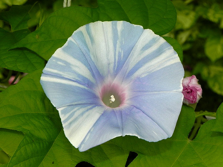 DSCN4613