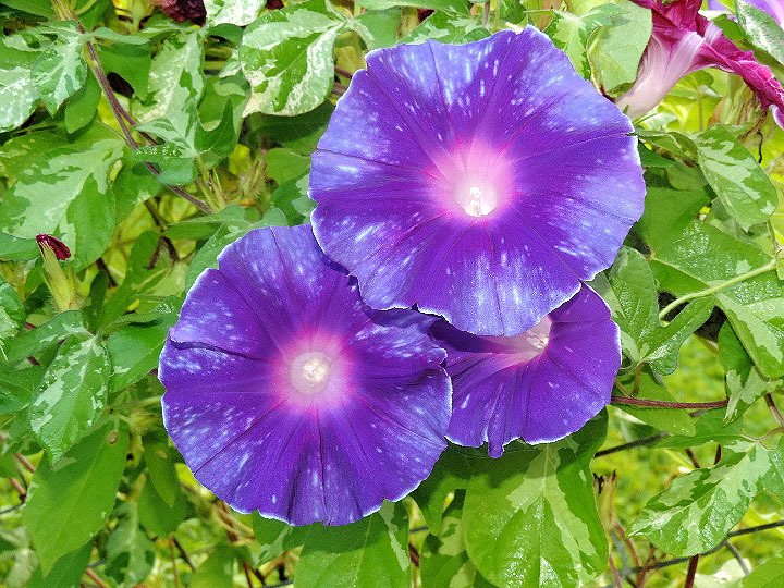DSCN4627_01