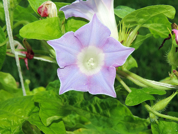 DSCN4664_01