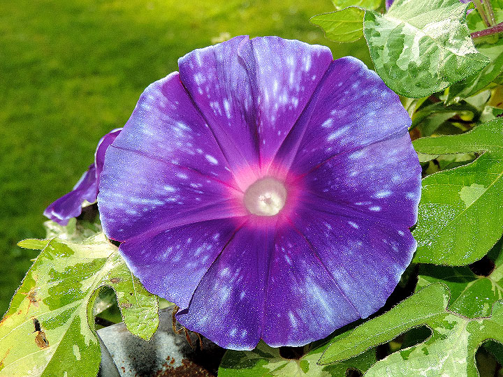 DSCN4749