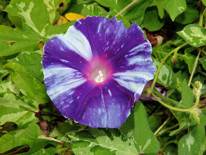 DSCN4842
