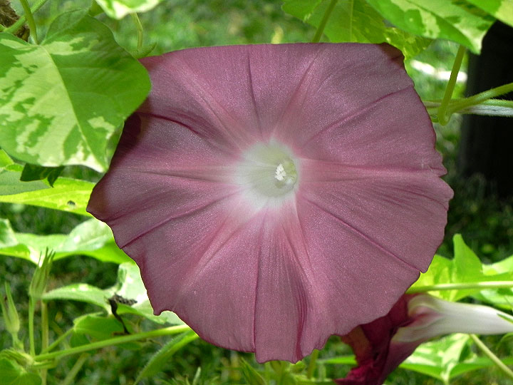 DSCN4862