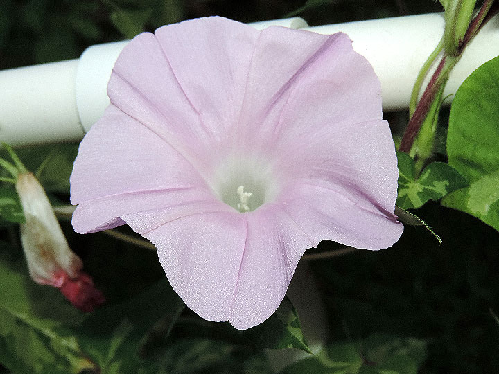 DSCN4889_01
