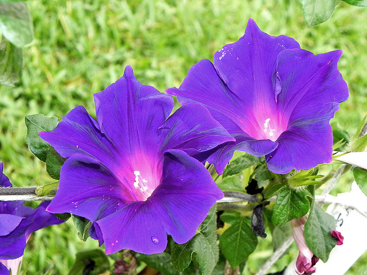 DSCN4905_01