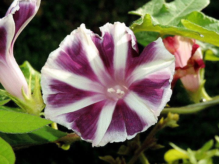 DSCN4967