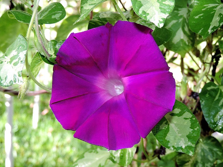 DSCN4969