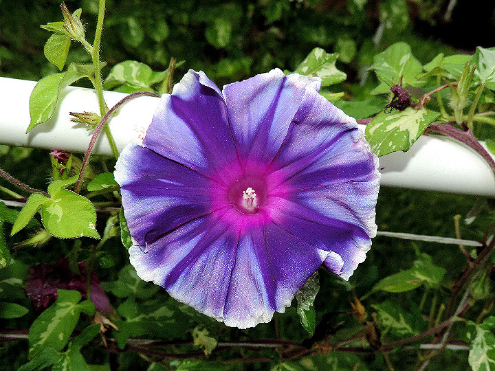 DSCN5083_01