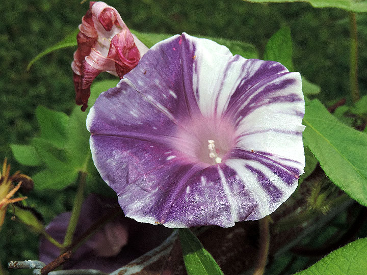 DSCN5088_01