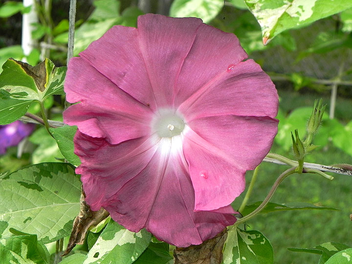 DSCN5101_01