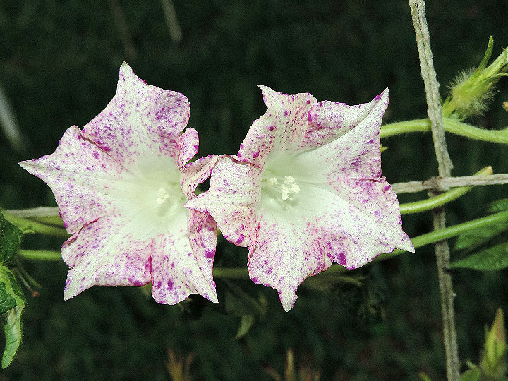 DSCN5105_01