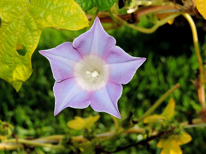 DSCN5111_02