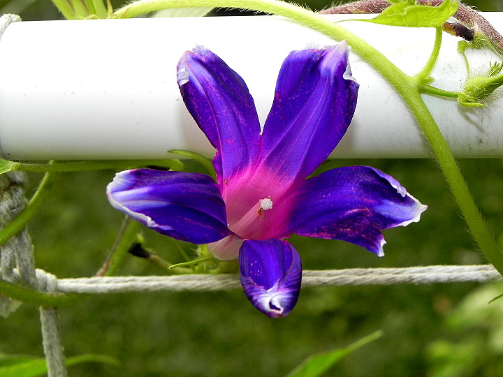 DSCN5131_01