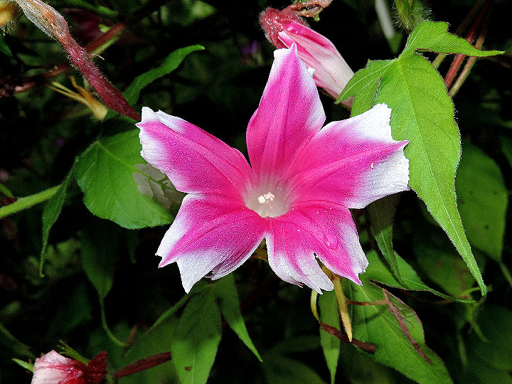 DSCN5134_01