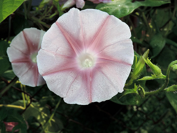 DSCN5194
