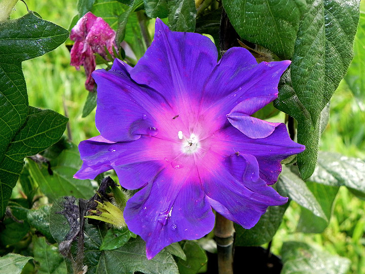 DSCN5215