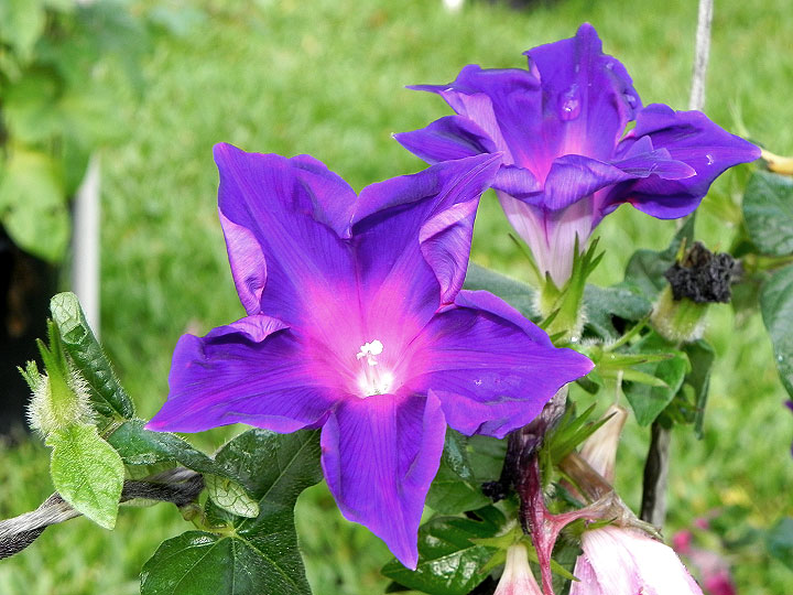 DSCN5216