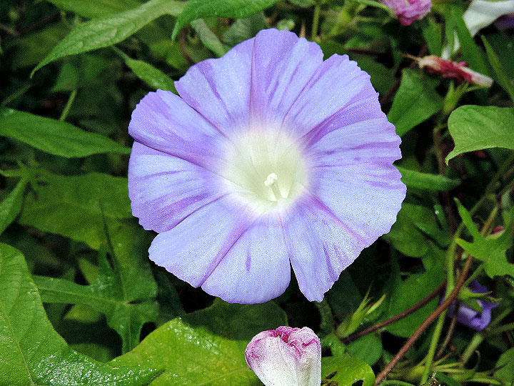 DSCN5274_01