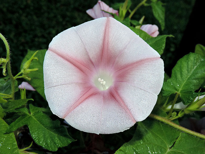 DSCN5278_01