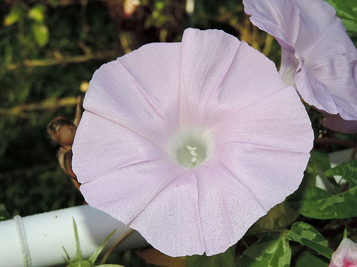DSCN5330_01