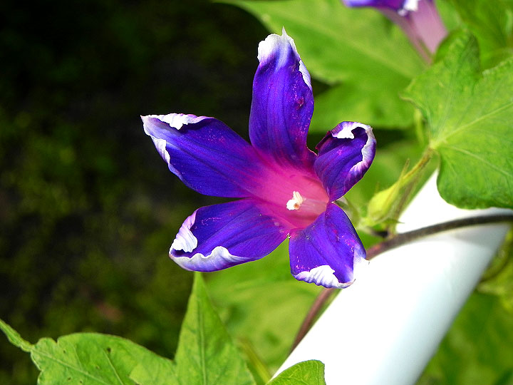DSCN5343_01