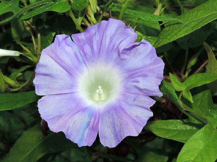 DSCN5371_01