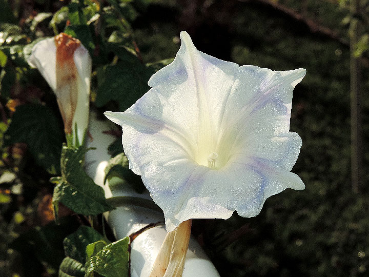 DSCN5443_01