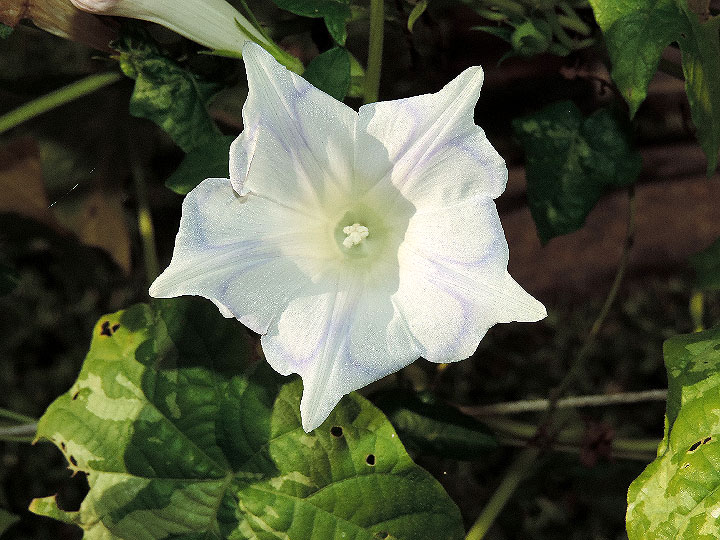 DSCN5446_02