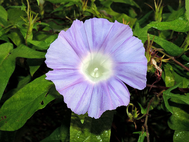 DSCN5489_01