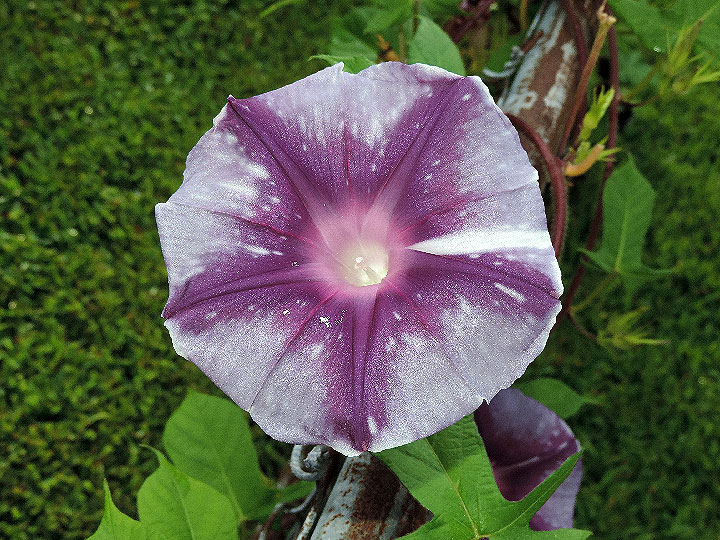 DSCN5490_01