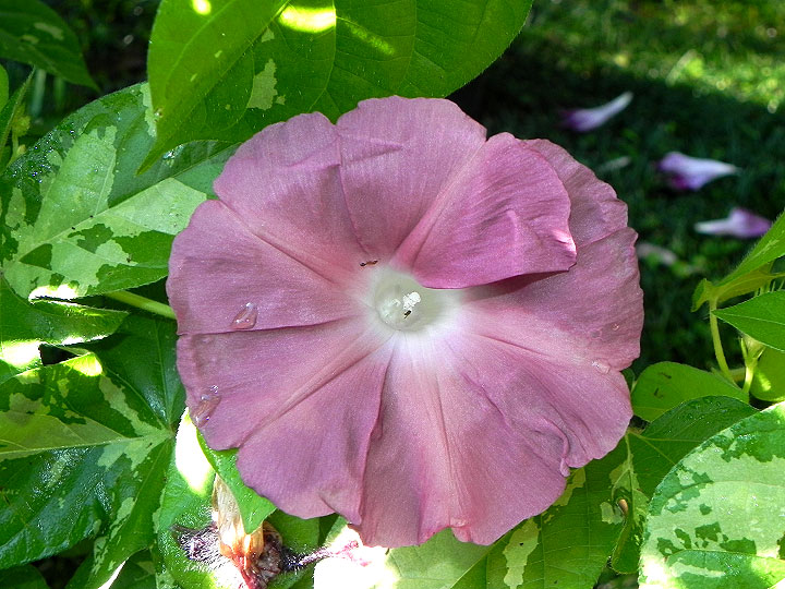 DSCN5492_01