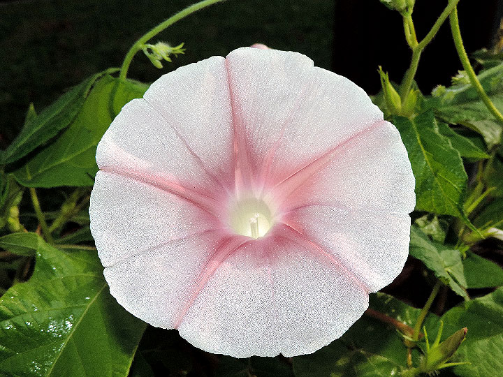 DSCN5495_01