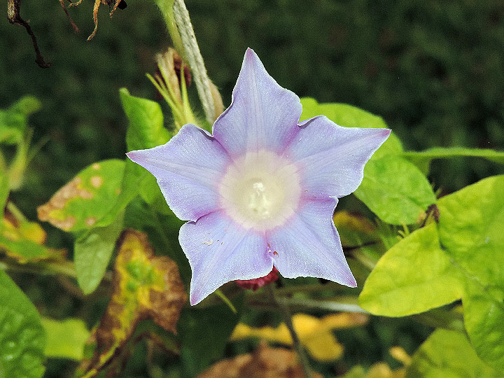 DSCN5525_01