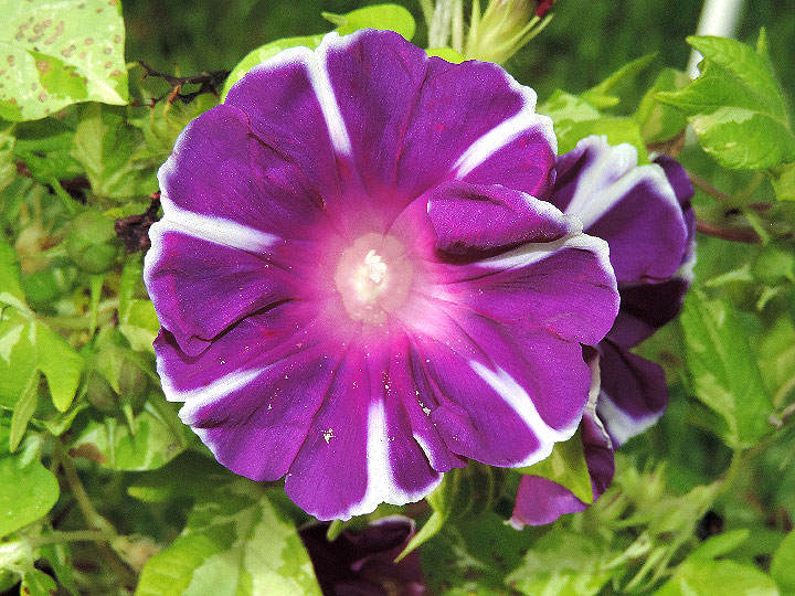 DSCN5536_01