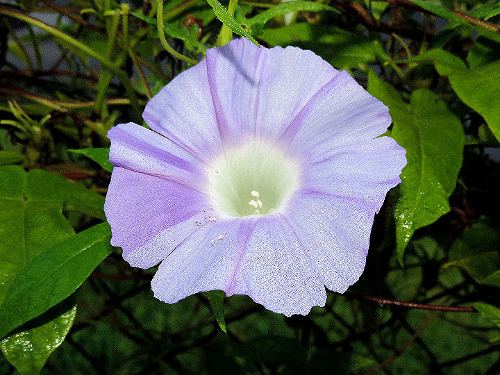 DSCN5691_01