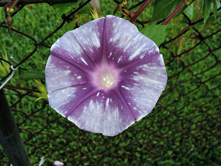 DSCN5693_02