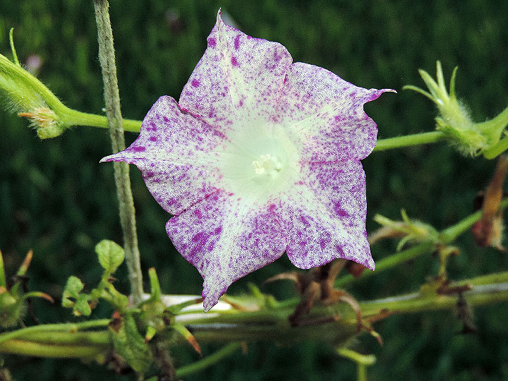 DSCN5709_01